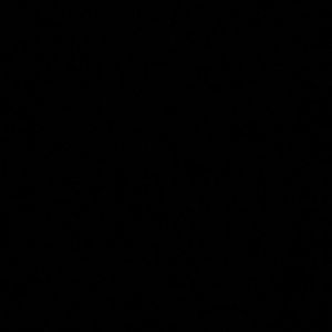 Meet your Posher, Kaden